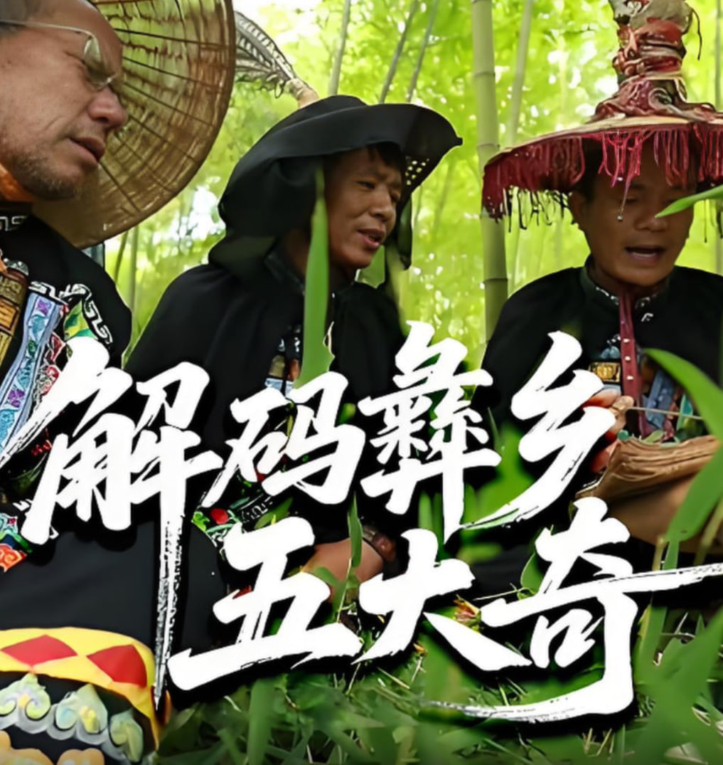 解码彝乡五大奇(全集)