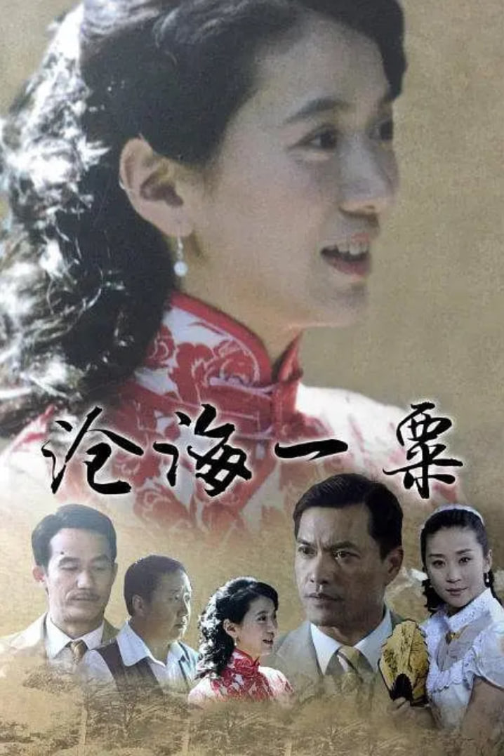 沧海一粟(全集)