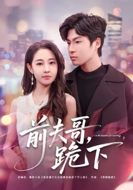 前夫哥，跪下(全集)