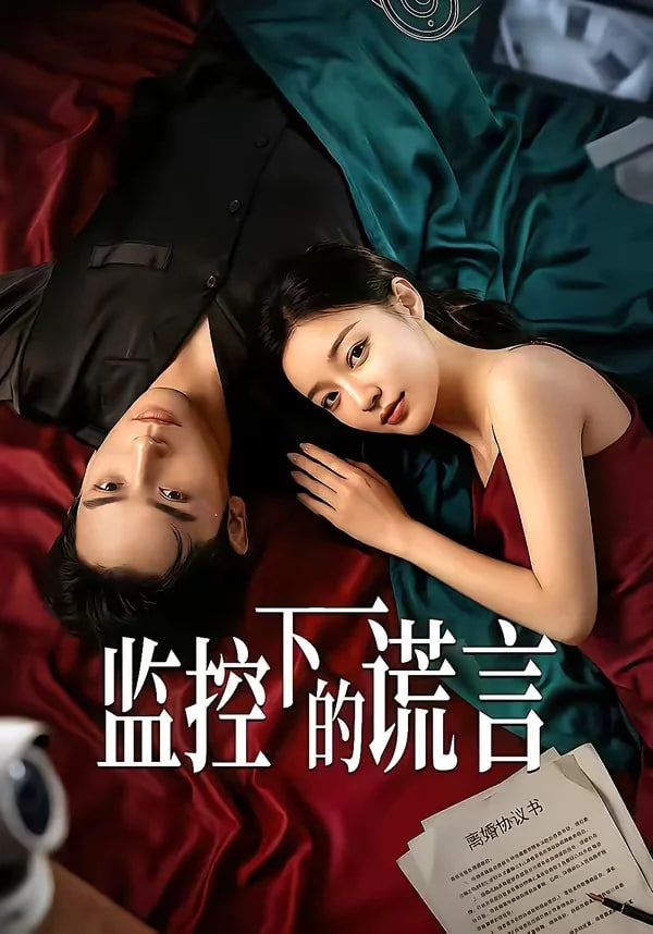 监控下的谎言(全集)