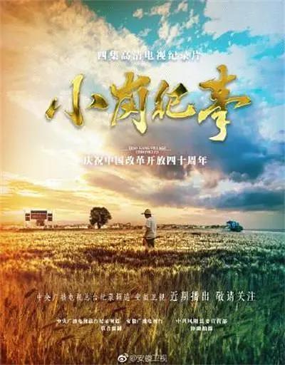 小岗纪事(全集)