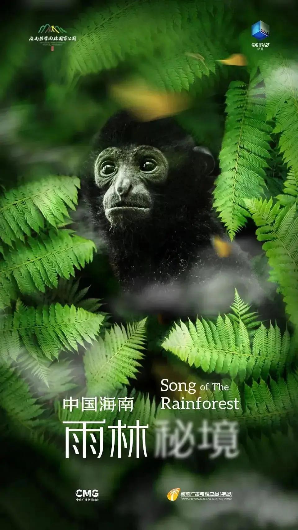 中国海南·雨林秘境(全集)